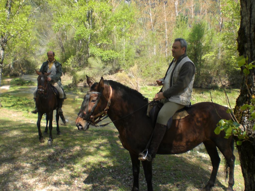 De Madera La Encina