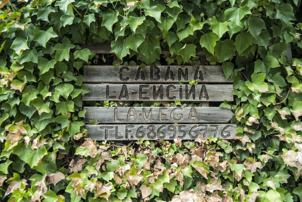 Holiday home De Madera La Encina Burunchel
